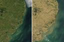Satellite images have captured the difference in East Anglia in just one year. Left - July 17, 2021. Right - July 19, 2022.