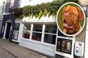 A Bury St Edmunds cinema is starting dog-friendly screenings