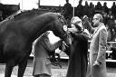 The Queen visiting Tattersalls in Newmarket in March 1982.
