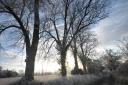 Suffolk is set to see a frosty start to Christmas Day, but there is not expected to be any snow.