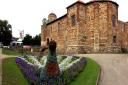 Some of the floral displays in Colchester Castle Park
