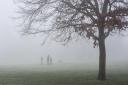 A fog warning has been issued for Suffolk