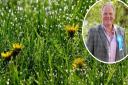 Cllr Nick Clarke is calling for a review of grass cutting in West Suffolk