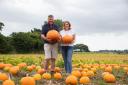 The best places in Suffolk for pumpkin picking
