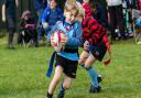Action from the Woodbridge Rugby Club U7-12 Festival. Pictures: SIMON BALLARD