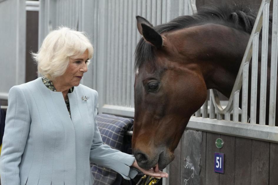 WATCH: Queen Camilla visits Newmarket on special anniversary
