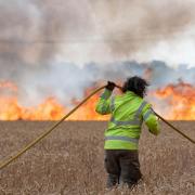 Firefighters tacking a major field fire near Woodbridge on Tuesday
