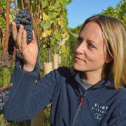 Five Suffolk vineyards you should visit