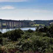 Orwell Country Park is one of Ipswich's most spectacular parks. You can walk for hours through woodland and down to the River Orwell with incredible views of the area.