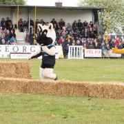 The Suffolk Show had fun for everyone - like the ever-popular mascot race - and the crowds returned in their tens of thousands.