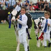 30 things you can do for free at the Suffolk show this year