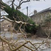 UK Power Networks has said they will be making goodwill payments to those worst affected by Storm Eunice