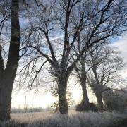 Suffolk is set to see a frosty start to Christmas Day, but there is not expected to be any snow.