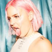 Anne-Marie, who is performing at Newmarket Race Course