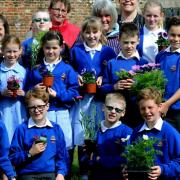 Pupils from Great Barton C of E Primary Academy choosing the plants they will planting in their Show Garden at the Suffolk Show.